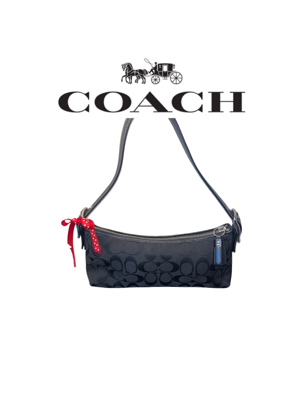 Coach Hampton Signature East West Demi Shoulder Bag